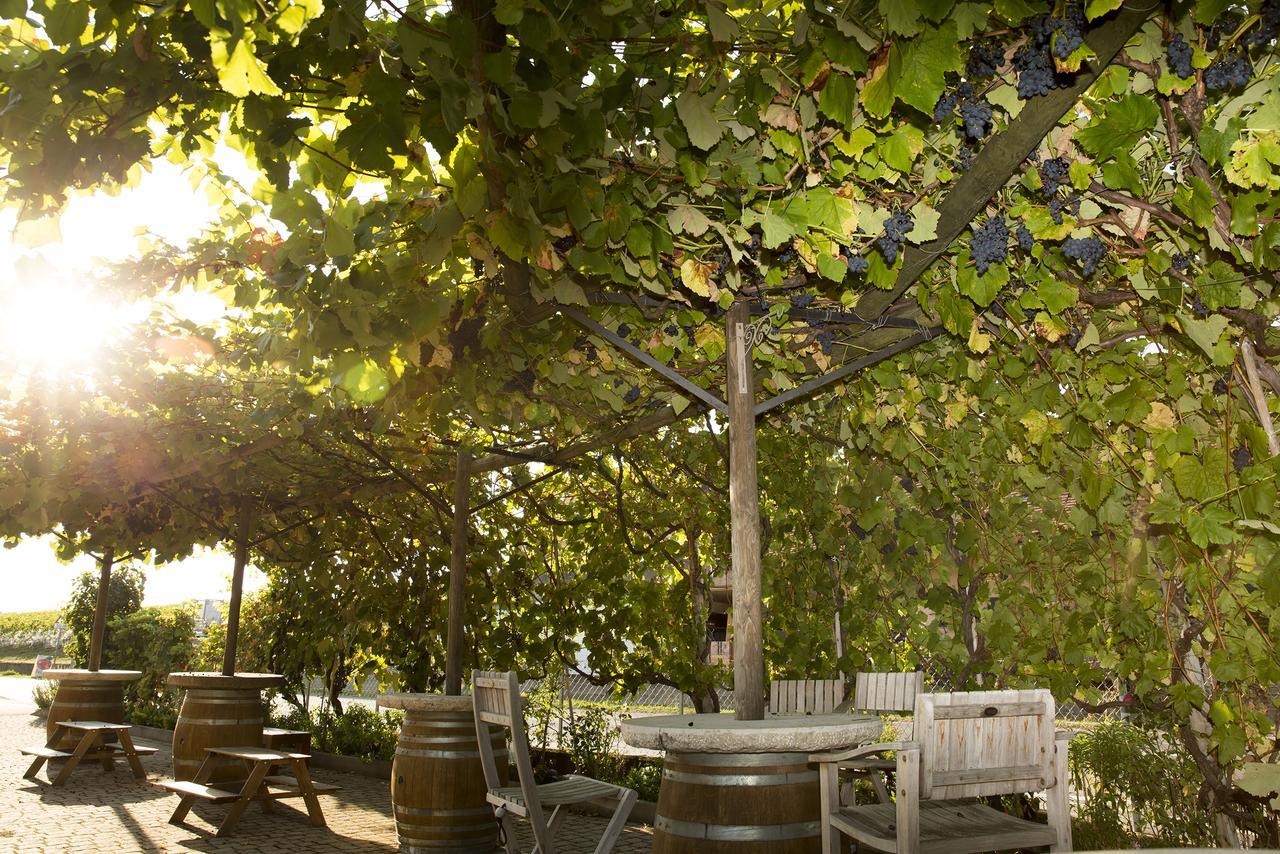 Cave Du Treyblanc Bed and Breakfast Luins Eksteriør billede